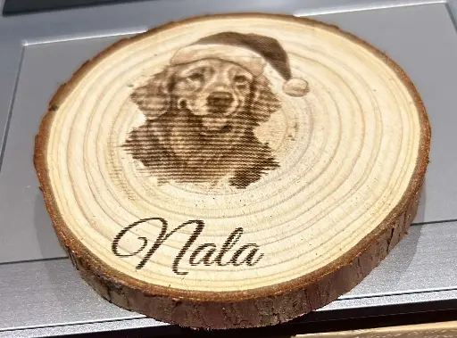 Sous-Verres en rondin